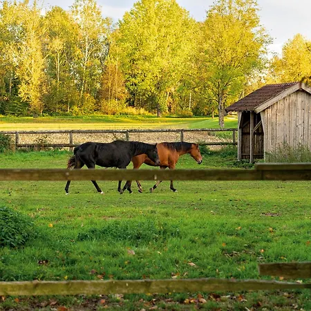 An Der Brunnader - Ihr Perfekter Rueckzugsort In Der Bayerischen Toskana 3*